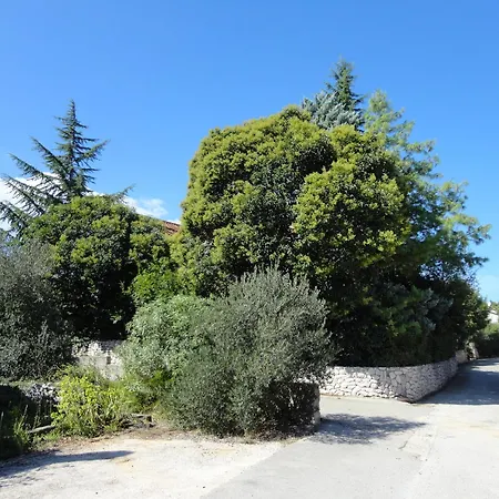 Green Court Apartment