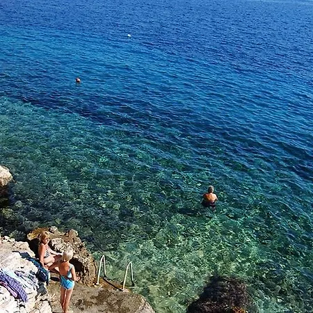 Green Court Apartment