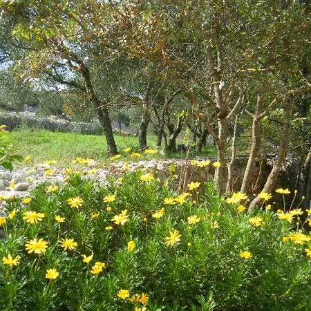 Green Court Apartment *