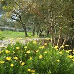 Green Court Apartman *